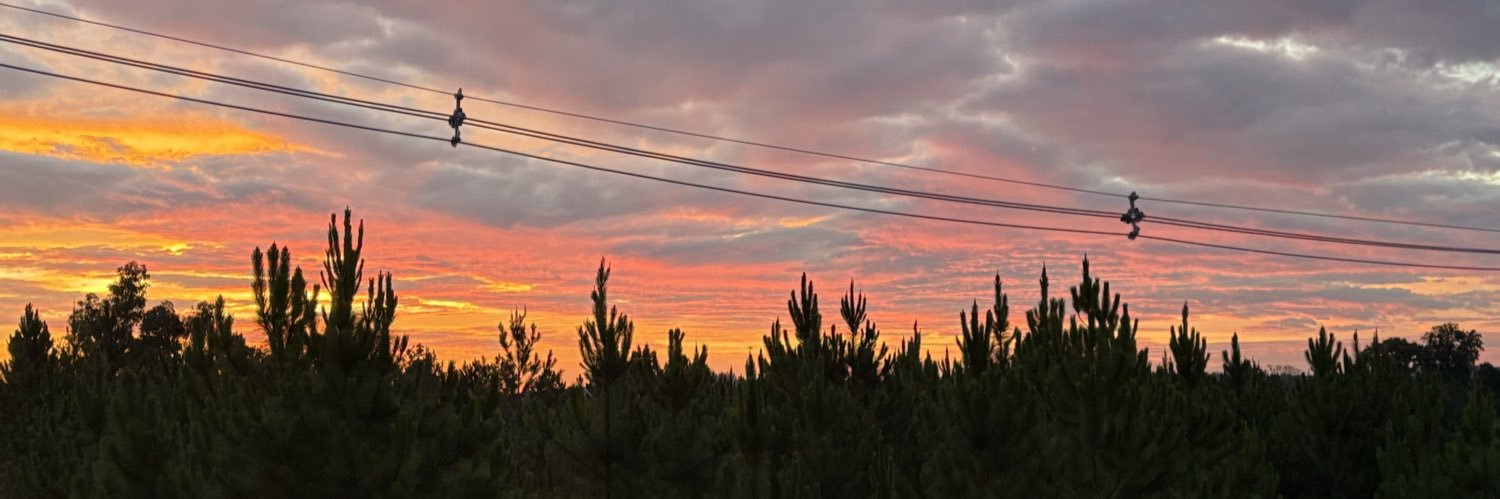 belabreidenbach's profile banner image