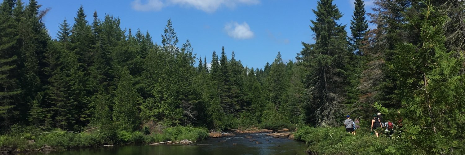 Elizabeth Walden banner