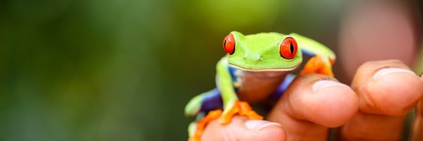 aminart Profile Banner