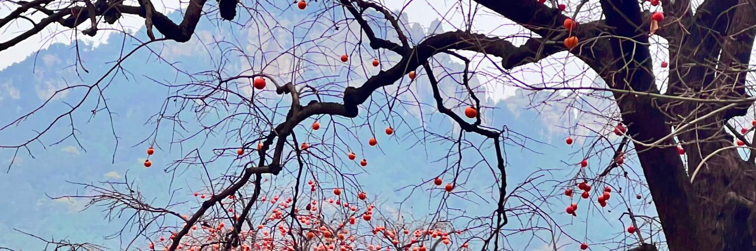 SabluMajhi's profile banner image