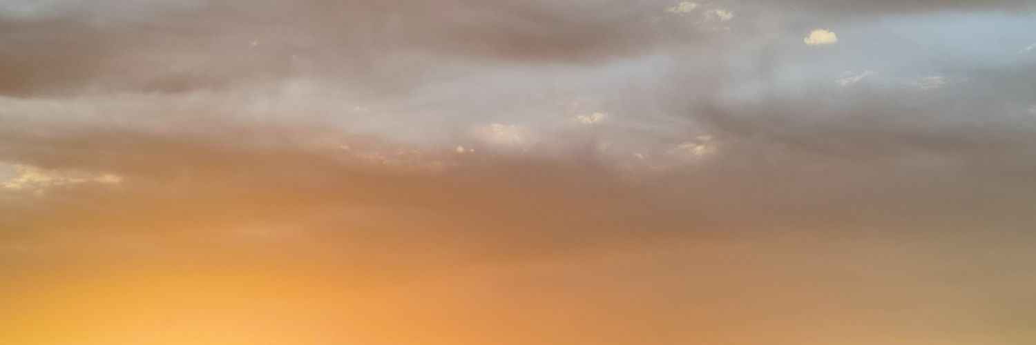 59 Forest Stool banner