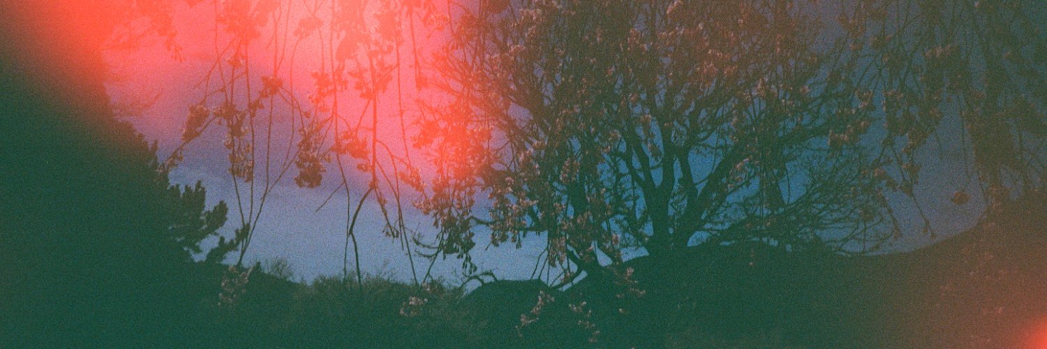 yinga⁷ 𑣿🪽🔻🌺 banner