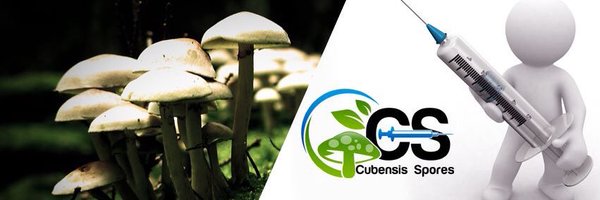 wataa_wet Profile Banner