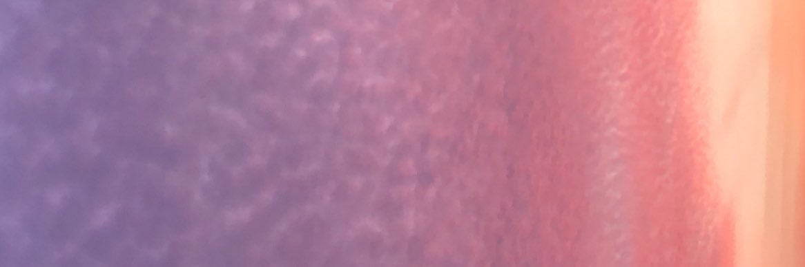 cami 🦦 banner