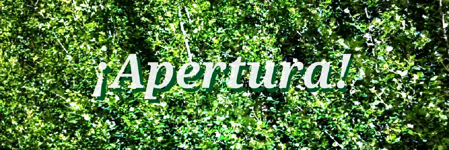 Martín Szyszlican banner