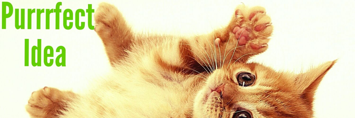 PurrrfectIdea's profile banner image