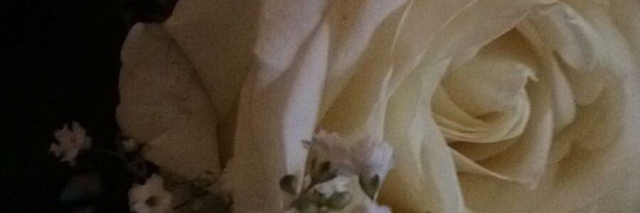 ami80314541's profile banner image
