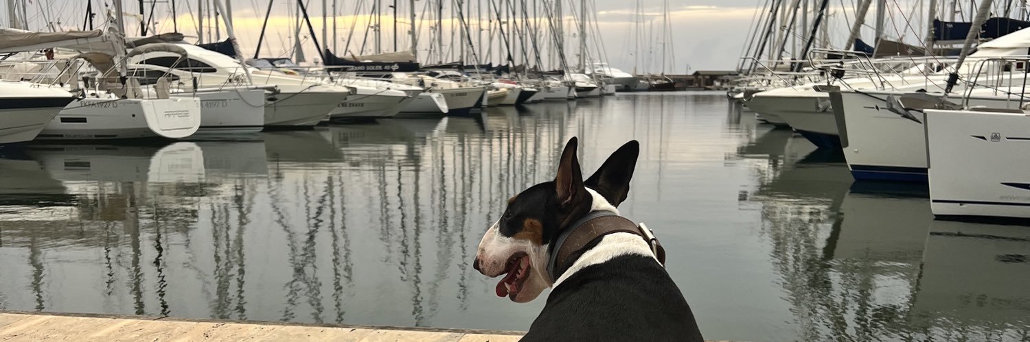 plygi's profile banner image