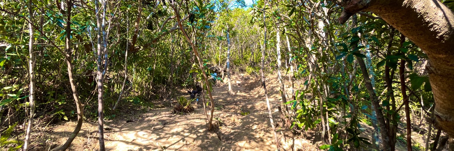 Dr. Michael Rivera 趙凱聰 banner