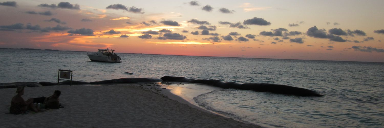 Alberto José María banner