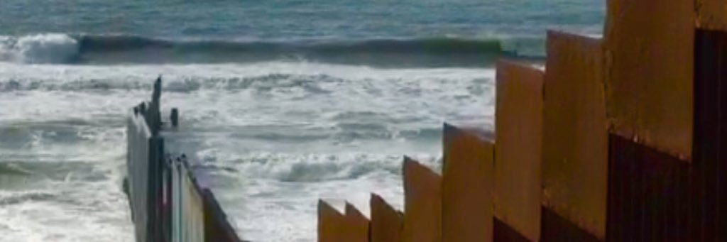 Erika Pinheiro banner