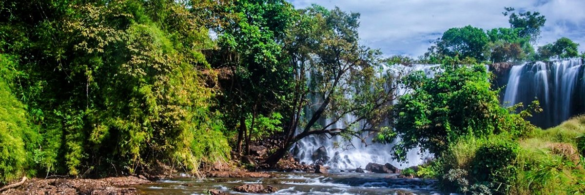 Loopydelou's profile banner image