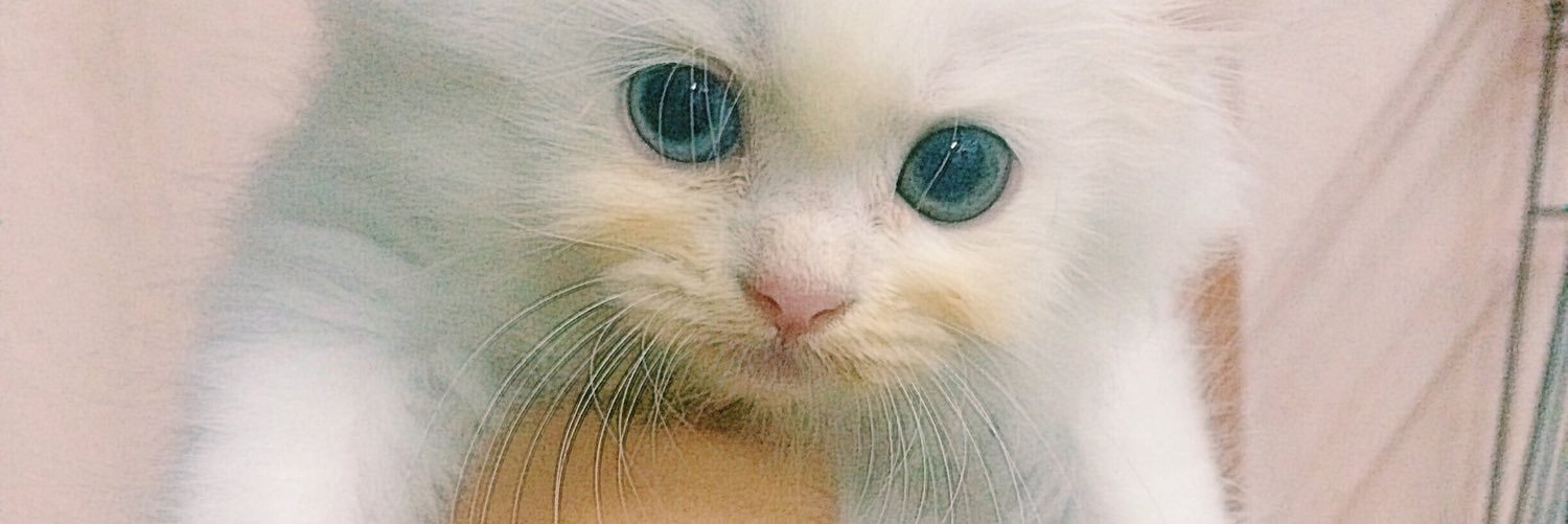 Fyrsyusof's profile banner image