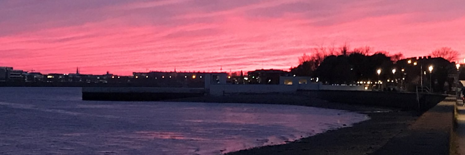 Martin Carroll 🇮🇪🇪🇺 banner