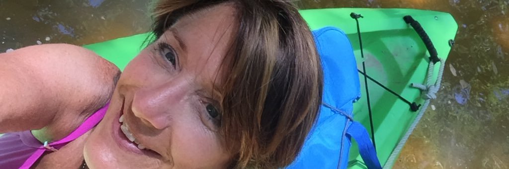 Alison Fleming banner