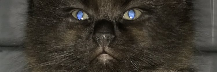 DJWritebread's profile banner image