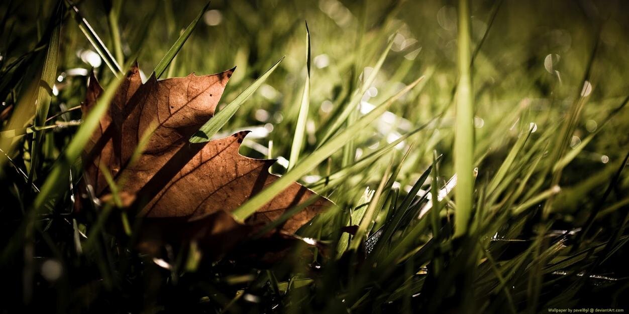 mrsepdal's profile banner image