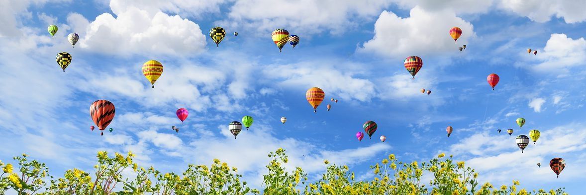 promocodes484's profile banner image