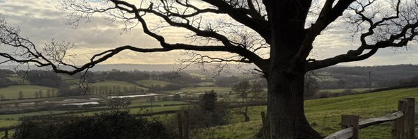 AnneMHoekstra Profile Banner