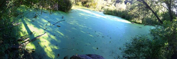 KookyScientist Profile Banner