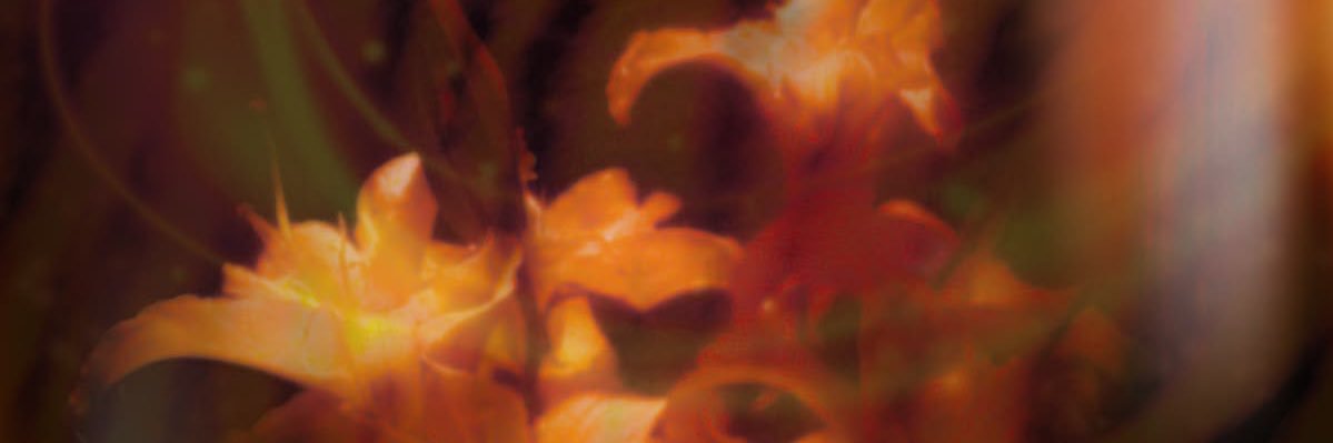 sunstaained's profile banner image