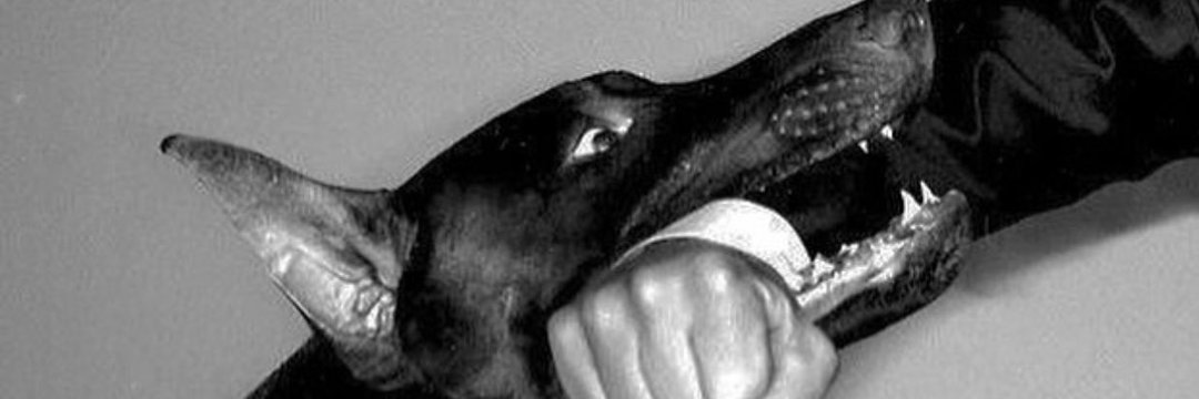 whereiscrt's profile banner image