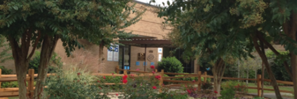 CCE_Colts Profile Banner