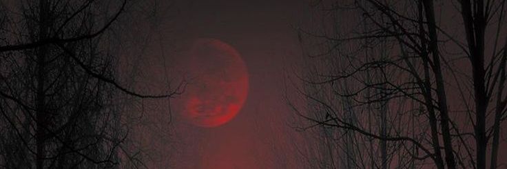 绝望 banner