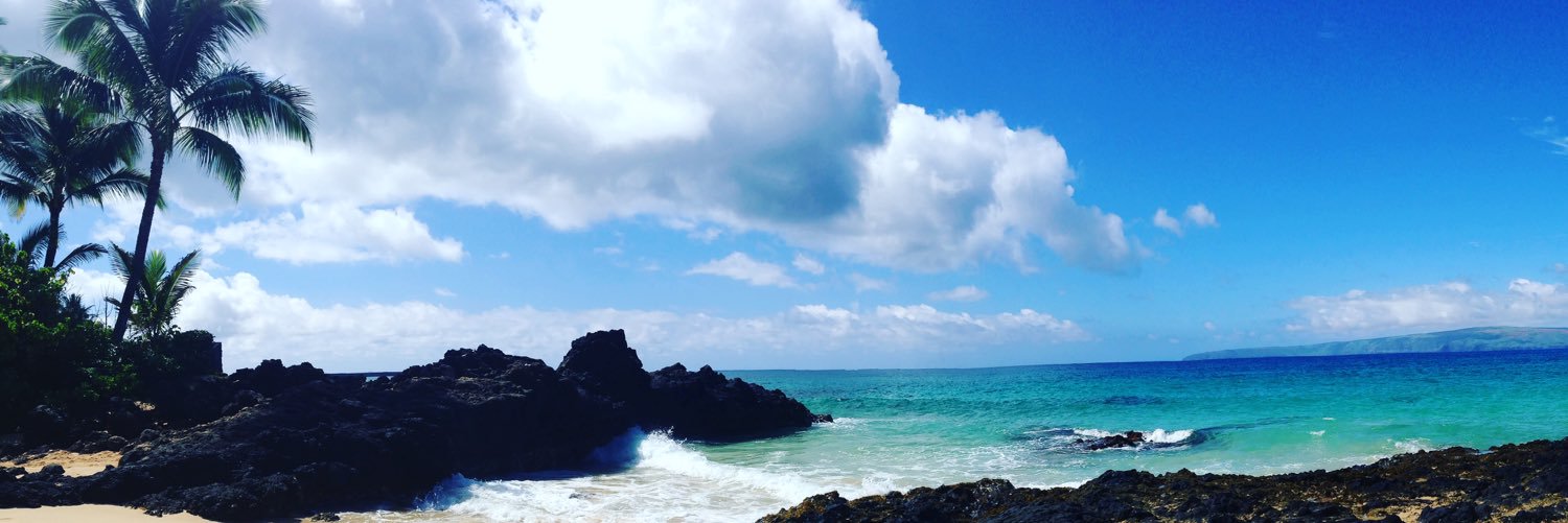 audreybear5's profile banner image