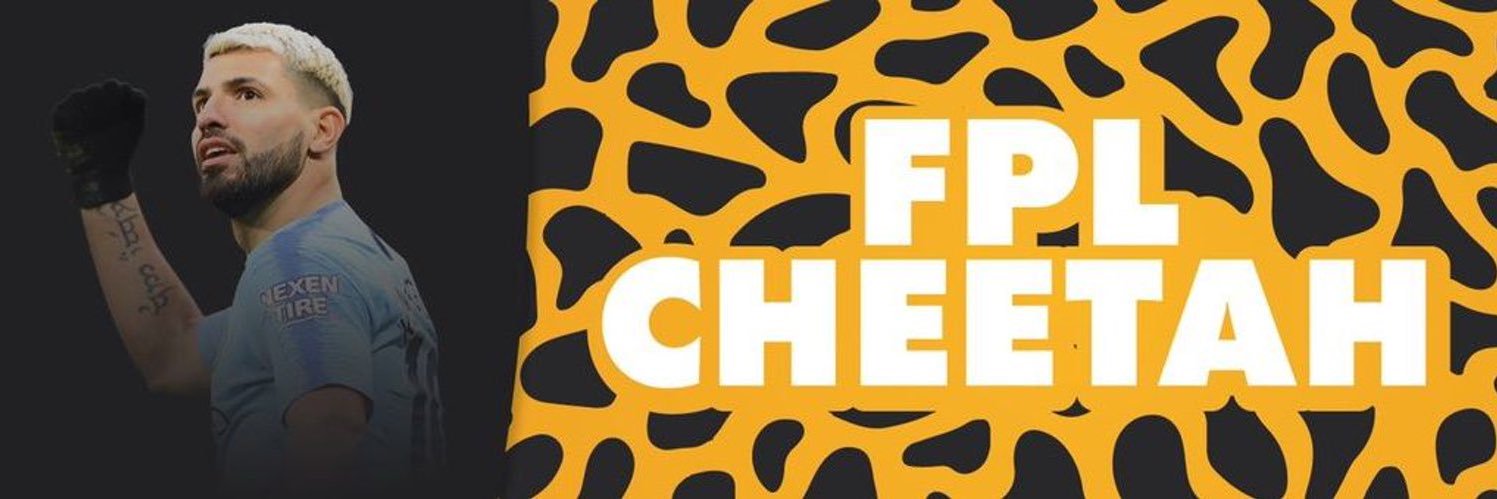 FPL Cheetah banner