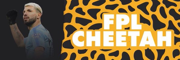 FPL Cheetah Profile Banner