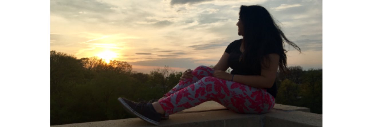 Sanibear_'s profile banner image