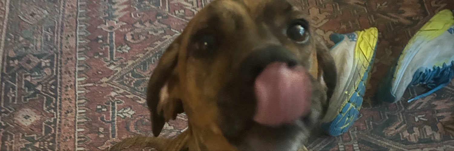 rhowenstarborn's profile banner image