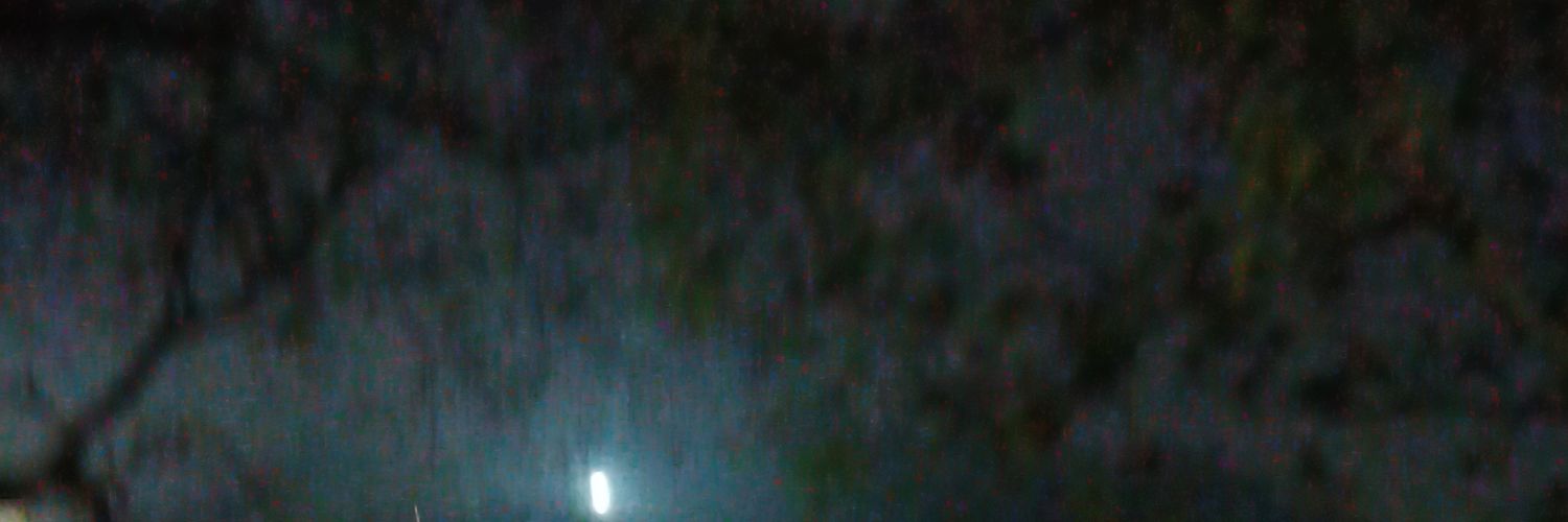 DigboloyBorah's profile banner image