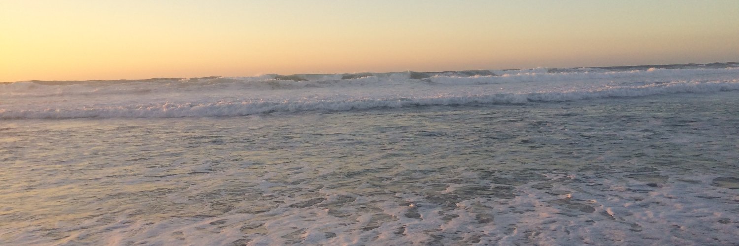 JWildhardt's profile banner image