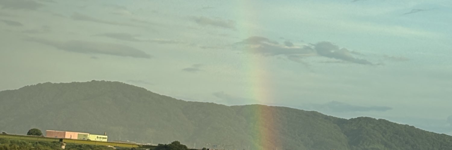 metasomaso's profile banner image