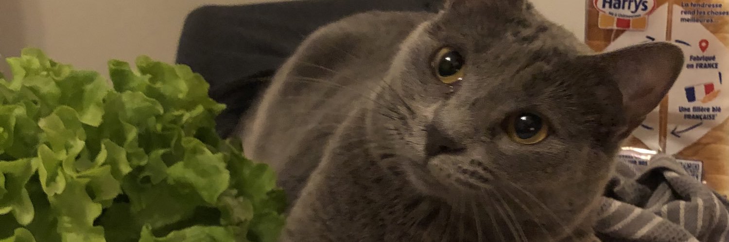 JulesMarsOne's profile banner image