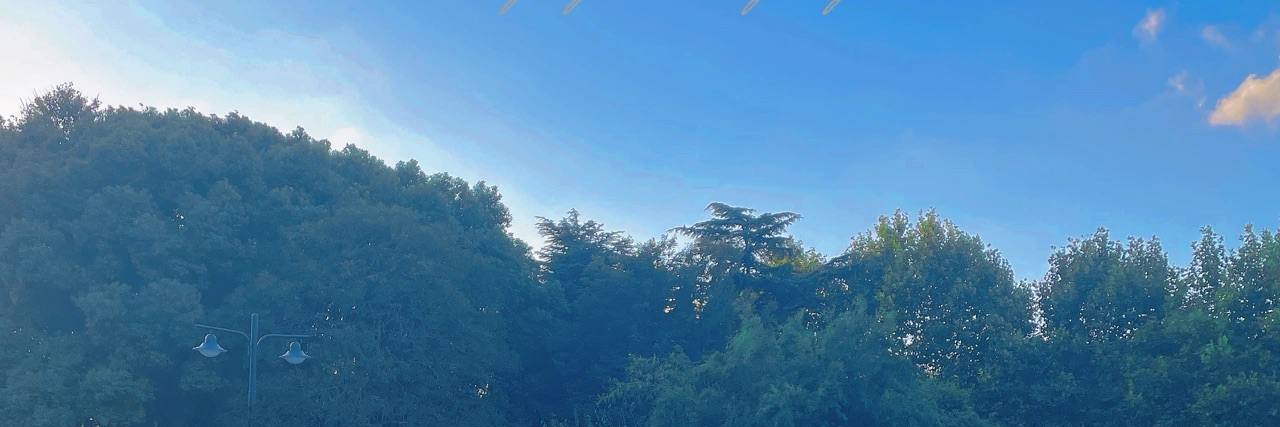 casey16588's profile banner image