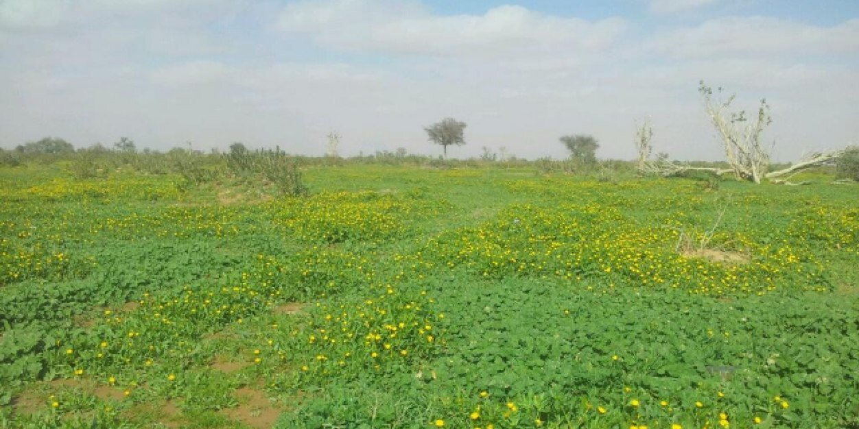 AlKarem2's profile banner image