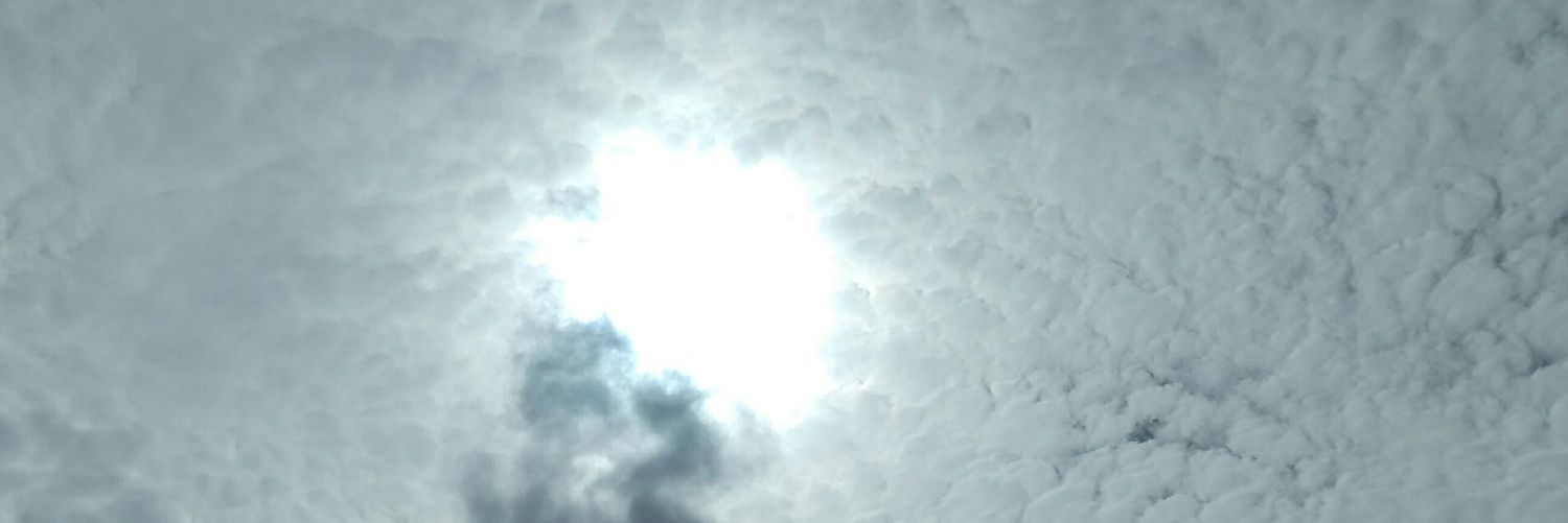 marymf2's profile banner image