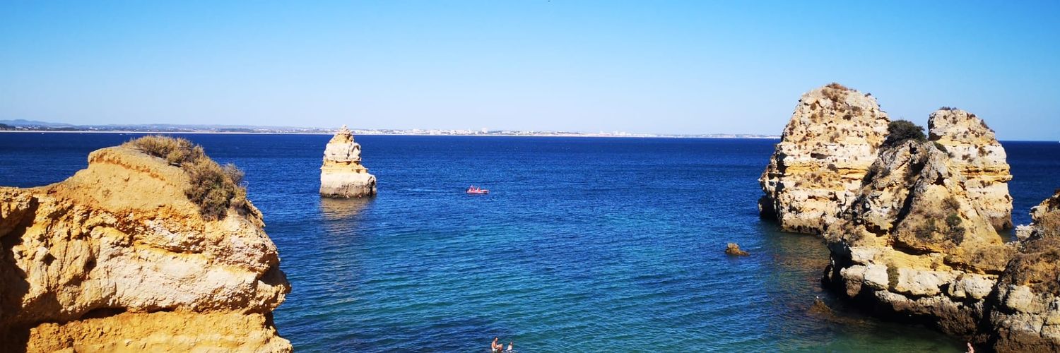 Sandra Colaço banner