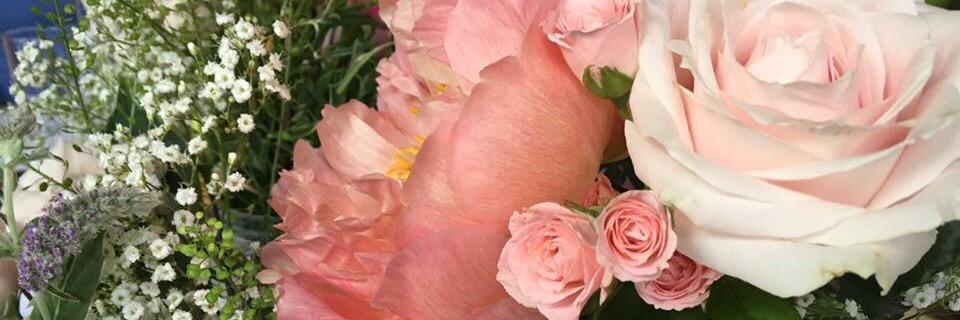 Clarabellerocks's profile banner image