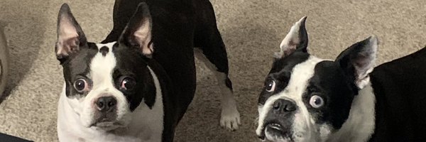 wspencertw Profile Banner