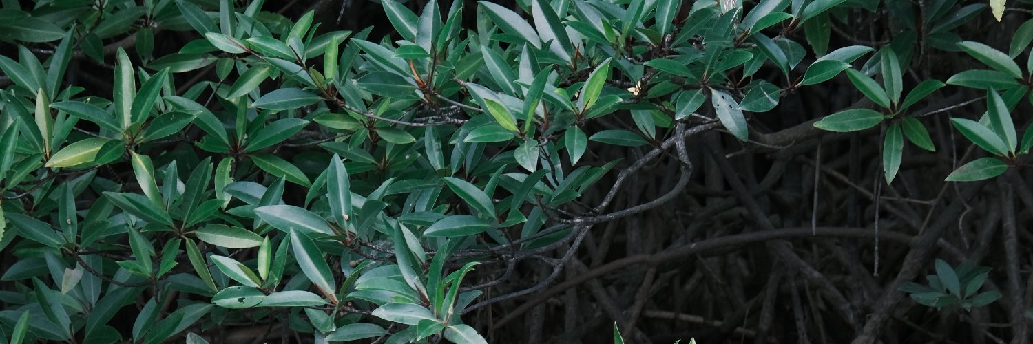 困的时候闭上眼 banner