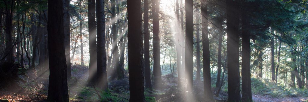 Midleton Very Rare banner