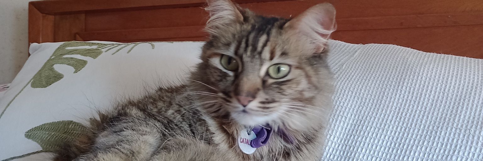 Salaberry_18's profile banner image