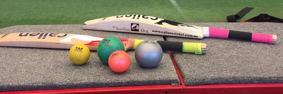 TAPCricket's profile banner image