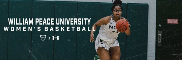 gopeacewbb Profile Banner
