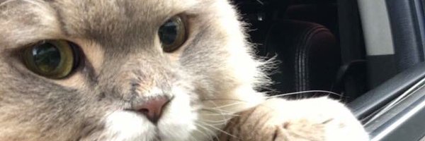 devhynes Profile Banner