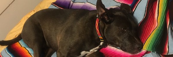 imillercrews Profile Banner